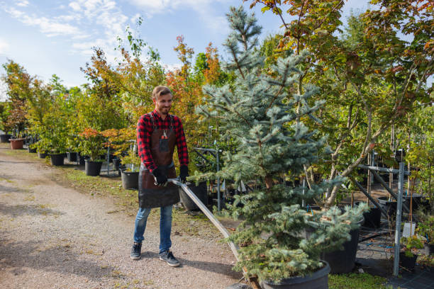 Best Tree Pruning Services  in Hartford, IL